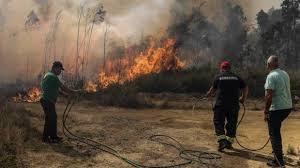 PJ Detém Suspeito de Atear Fogo que Queimou Metade da Área Verde de Baião