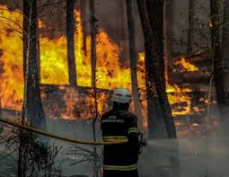 Pedro Nuno acusa Montenegro de se esquivar a responsabilidades nos fogos